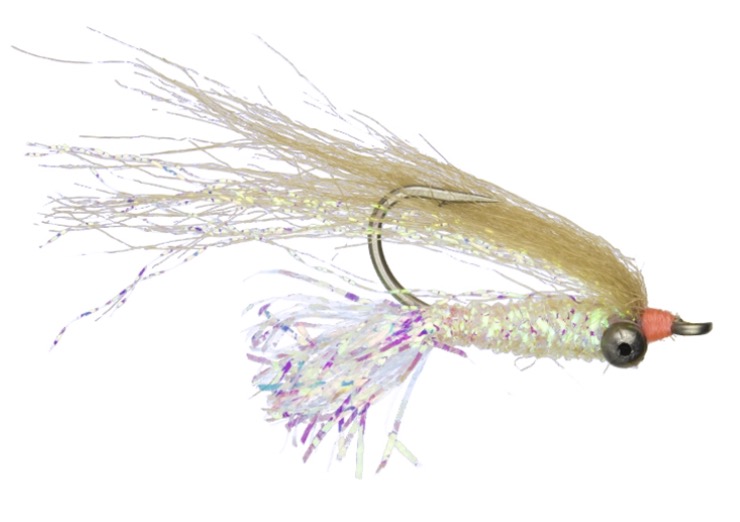 What To Bring-tackle, flies, tippet, fly rods, reelsWHAT TO BRING - Mars  Bay Bonefish Lodge